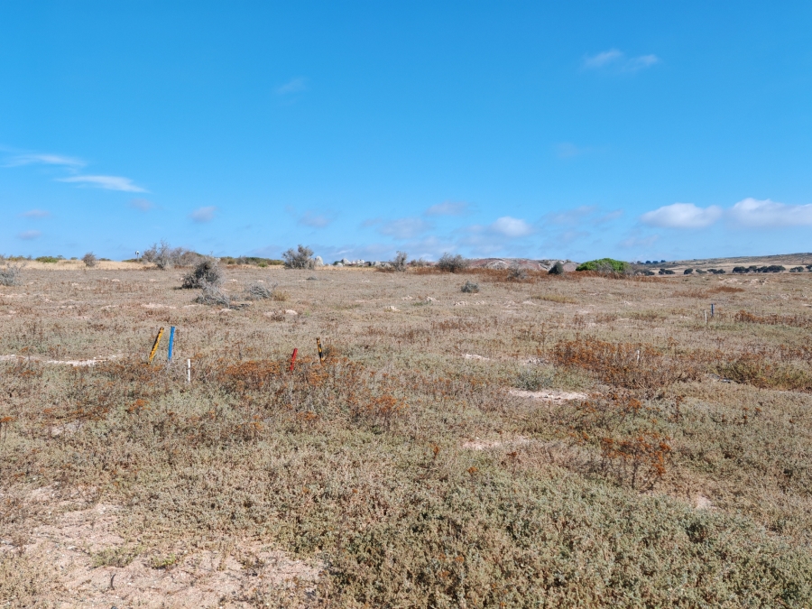 0 Bedroom Property for Sale in Langebaan Country Estate Western Cape